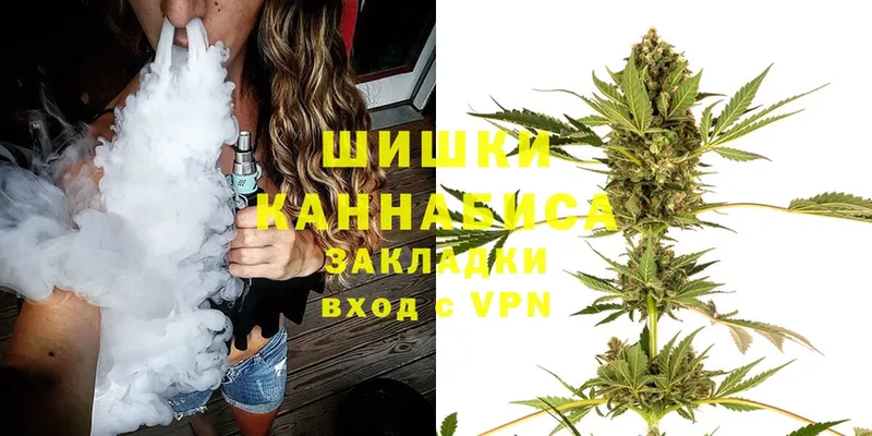 Конопля SATIVA & INDICA  mega как зайти  Кинель  продажа наркотиков 